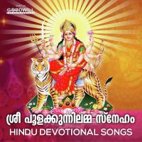 Pooram Naalil Prasad Song Download Mp3
