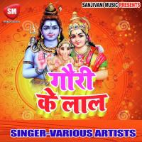 Tere Darwar Me Aaye Hai Santosh Aanand Song Download Mp3