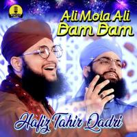 Ali Mola Ali Dam Dam Hafiz Tahir Qadri Song Download Mp3