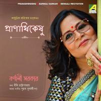 Ami Ekhon Ekaki (Recitation) Barnali Sarkar Song Download Mp3