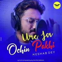 Ure Ja Ochin Pakhi (Reprised Version) Keshab Dey Song Download Mp3
