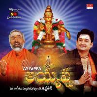 Neenu Vidipoyedela Naga Sahithi Song Download Mp3