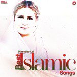 Dargah E Qalander Naseebo Lal Song Download Mp3