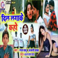 Dil Laga Ke Kaho Lal Babu & Anjali Yadav Song Download Mp3