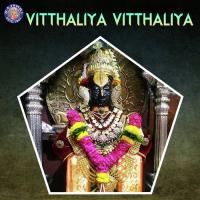Vitthaliya Vitthaliya songs mp3