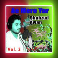 Hoya Bohat Badnam Shahzad Awan Song Download Mp3