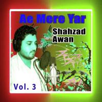 Teray Gal Sohnay Di Gani Shahzad Awan Song Download Mp3