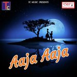 Aaja Aaja Sunil Soni,Alka Chandrakar Song Download Mp3