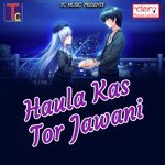 Haula Kas Tor Jawani songs mp3