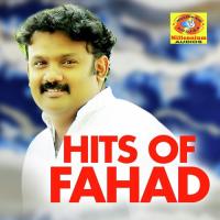 Novinde Theerathu Fahad Song Download Mp3
