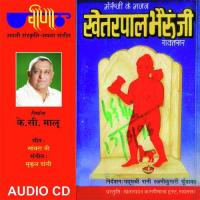 Khetarpaal Bheru Ji songs mp3