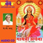 Maa Tere Charno Me Vibha Agarwal Song Download Mp3