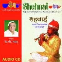 Dhamal- Jor Ji Champawat Various Artists Song Download Mp3