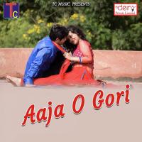 Aaja O Gori Mani Ram Chauhan,Tijan Patel Song Download Mp3