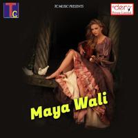 Maya Wali songs mp3