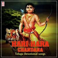 Hari Hara Chandana (From "Ayyappa Bhakthi Maala") S. P. Balasubrahmanyam Song Download Mp3