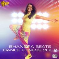 Bhangra Beats - Dance Fitness Vol. 2 songs mp3