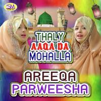 Thaly Aaqa Da Mohalla songs mp3