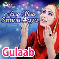 Aaqa Mera Sohna Aaya Gulaab Song Download Mp3