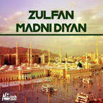 Mein Lajpalan De Lar Lagiyan Muhammad Daim Qadri Song Download Mp3