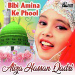 Bibi Amina Ke Phool Aliza Hassan Qadri Song Download Mp3