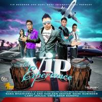 The VIP Experience Mixtape songs mp3