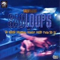 Sagloops Volume 1 - The Ultimate Bhangra Break Beats For The DJ songs mp3