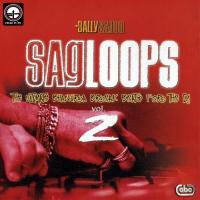 Sagloops Volume 2 - The Ultimate Bhangra Break Beats For The DJ songs mp3