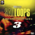 Sagloops Volume 3 - The Ultimate Bhangra Break Beats For The DJ songs mp3