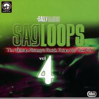 Sagloops Volume 4 - The Ultimate Bhangra Break Beats For The DJ songs mp3
