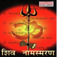 Shiv Stotra Meenal Karmarkar,Amruta Shinde Song Download Mp3