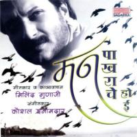 Neel Nabhachi Tapt Vedana Himsika Song Download Mp3