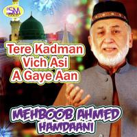Teri Jaliyu K Nichy Mehboob Ahmed Hamdaani Song Download Mp3