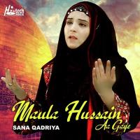 Maula Hussain Aa Gaye songs mp3