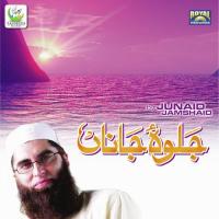 Tu Ne Puchi Hai Imamat Junaid Jamshaid Song Download Mp3