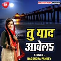 Pahila Milan Ke Raat Saiya Ranvir Rana Song Download Mp3