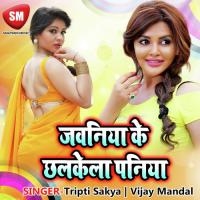 Julami Jawaniya Ke Chhalake Laa Paniya Ashok Ajnabi Song Download Mp3