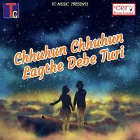 Gori Aabe Mor Gaav Rajkumar Dahariya,Purnima Nishad Song Download Mp3