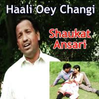 Haali Oey Changi Shaukat Ansari Song Download Mp3