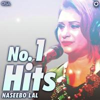 Neendran Nahin Aondiyan Naseebo Lal Song Download Mp3