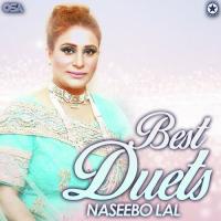 Ve Main Tere Bahjoon Mar Jawan Naseebo Lal,Amir Ali Song Download Mp3