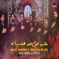 Rabbba Mera Asgahar Menu Yaad Bara Hun Aaway Mojianwala Party Song Download Mp3