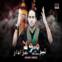 Bahu Zulm Day Nal Shaheed Kitaa Sahar Abbas Song Download Mp3