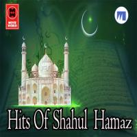 Hits Of Shahul Hamaz songs mp3
