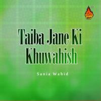 Khazana Ghaib Ko Sania Wahid Song Download Mp3