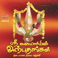 Sri Vana Maariyin Arputhangal songs mp3