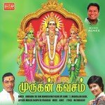 Thirumanja Nayagane Anuradha Sriram Song Download Mp3