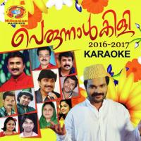 Perunnalkili 2016-2017 (Karaoke Version) songs mp3