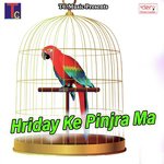 Hriday Ke Pinjra Ma songs mp3