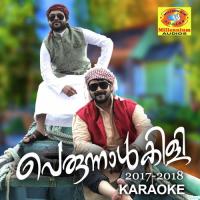 Jeevitha (Karaoke Version) Shafi Kollam Song Download Mp3